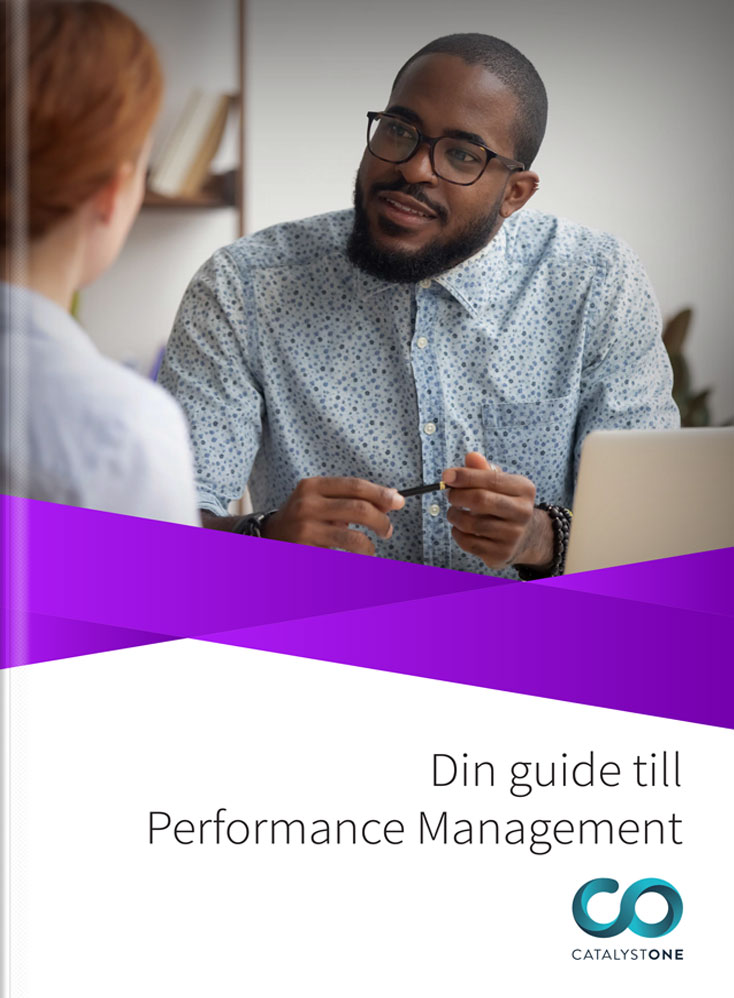 Guide till Performance Management